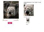 图片左右旋转在线裁剪jquery插件jquery.imgareaselect.js