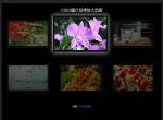 CSS3图片悬停放大动画