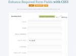 CSS3 验证表格必填字段