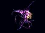 HTML5 Canvas发光微生物动画特效
